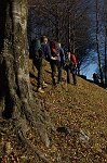 04-ORMAI FUORI DAL BOSCO